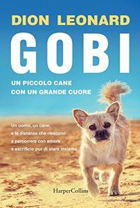 Gobi. Un p