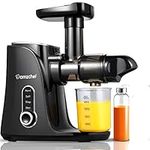 AMZCHEF Slow Juicer Machine - Cold Press Juicer with Two Speed Modes and LED Display - Masticating Juice Extractor with Travel Bottle and 2 Cups, Cleaning Brush - Black