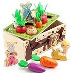 Cheffun Wooden Montessori Toys - Ca
