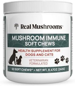 Mushroom I