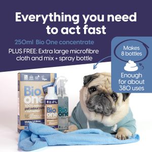 Pet Enzyme Stain & Odor Remover – Powerful Cleaner for Carpets & Floors