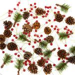 Pelle & Sol 130Pcs Wreath Making Kit | Wreath Making, Realistic Pine Cones & Berry DIY Crafts, Christmas Wreath Decorations, Christmas Wreath Making Supplies, Wreath Making Supplies, Christmas Foliage