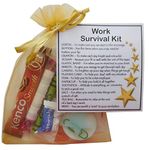 SMILE GIFTS UK Work Survival Kit (New job gift, Secret santa gift for colleague)