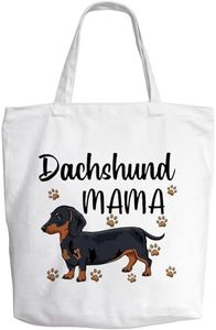 Dachshund 