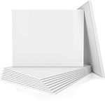 AETEXA Canvases for Painting 8x10 I