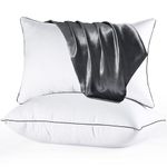Pillows Queen Size 2 Pack, Soft and Supportive Bed Pillows with Satin Pillow Cases for Side and Back Sleeper, Down Alternative Hotel Pillows-20 x30 Inches, Grey