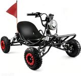 Electric Go Kart, 2000W Motor Go Ka