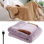 Electric Blanket For Car And Home