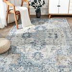 JINCHAN Area Rug 5x7 Washable Rug Indoor Vintage Rug Floor Cover Print Distressed Carpet Multi Thin Rug Chenille Blue Accent Rug Lightweight Non Slip Kitchen Living Room Bedroom Dining Room