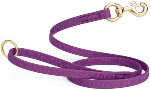 Viper Biothane Dog Leash with No-Slip Pebble Emboss - Waterproof Dog Lead for Training, Beach, Hiking - Great for Play, Camping, or Backyard - Solid Brass Hardware, 5 ft, Grape