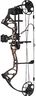 Bear Archery Royale Ready to Hunt Compound Bow Archery Set with Archery Accessories for Adults and Youths, 12”- 27” Draw Length, 5-50 Lbs Draw Weight, Up to 290 FPS