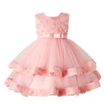 Miipat Baby Girl Dress Tulle Sleeveless Princess Toddler Girl Party Dresses Formal Flower Girls Birthday Wedding Pageant Dress(Pink Flower 100 2-3 Years)