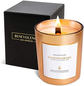 Benevolence Candles Eucalyptus Orange Wood Wick Candles, Spring Scented Candles for Women | 8 Oz Scented Candles for Home Scented | Eucalyptus Candles | Natural Candles | Men Candles | Bathroom Candle