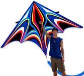 SGftre Blue Large Delta Kite for Ad