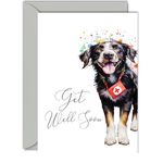 Get Well Soon Cards for Women - Cute Dog - Get Well Cards for Men, Speedy Recovery Card, A5 Greeting Cards for Brother Sister Mum Dad Auntie Uncle Colleague Best Friend