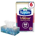 Royale Velour 3 Ply Facial Tissues, 6 Flat Boxes, 88 Tissues Per Box