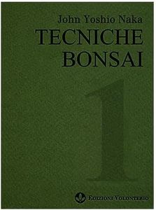 Tecniche b