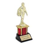 Dundie Award Trophy for The Office - 9.5 in