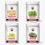 Manushya Life Seeds for Sprouting| Satvic Lifestyle | Combo pack of Alfalfa, Fenugreek, Clover, Radish Seeds | 100gms x 4