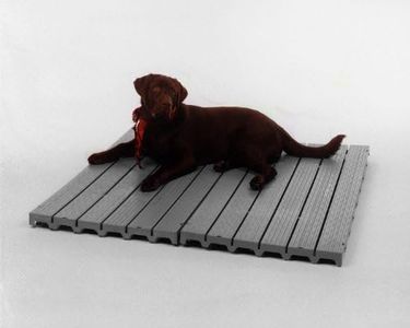 13 Kennel 