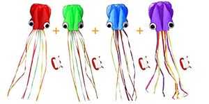 Winterworm Set of 4 Large Silk Kite with Board Chinese Kite Simple to Fly Kite for Beginner Childhood Memory Parent-Child Time