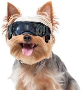 Dog Goggle