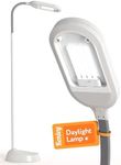 Kenley Daylight Reading Lamp Floor 