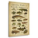 Sport Fish Pictures