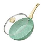 Nonstick Deep Frying Pan Skillet, 1