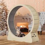 Homegroove Cat Treadmill, Cat Exercise Wheel for Indoor Cat, Cat Running Wheel with Carpeted Runway, Fitness Weight Loss Device, Cat Sport Toy for Kitty’s Longer Life, 37" H Natural Wood Color(S)