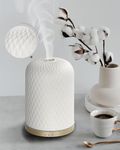 Ceramic Diffuser,110ML Diffusers fo