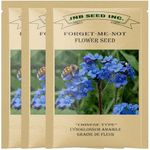 Forget Me Not Seeds (Approx. 600 Seeds x 3 Packs -Cynoglossum amabile) Garden Delights Vibrant Blooms, Easy to Grow