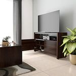 Studio Kook Rhythm TV Cabinet (Junglewood, Matte Finish)