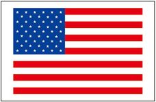 PremiumTT Large American Flag Tattoos, 8 Pieces, Waterproof, Colorful, Easy to Apply, Long Lasting, Great for America Themed Events