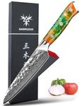 SANMUZUO 5 Inch Utility Knife - Fruit and Vegetable Knives, 67 Layers Forged Damascus Steel & Resin Handle - Yao Series