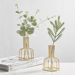 2 Pcs Gold Flower Vase with Metal Frame, Clear Glass Test Tube Vases Decorative, Small Bud Vases Gifts use for Wedding Decoration Table Flower Decoration Interior Decoration Living Room Decoration