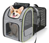 pecute Cat Carrier Dog Backpack Expandable Large, Portable Breathable Rucksack with Front Opening-Mesh Window-Pockets, Extendable Back More Space Great For Carrying Puppy Dogs Cats