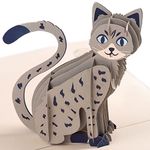 Cat Pop Up Card by DEVINE Popup Cards w/ envelope (8"x6") | 3D Birthday Card for Mom | Pop Up Greeting Cards | Pop Up Birthday Cards for Women | 3D Cards Pop Up Cards All Occasion | 3D Card Love Funny