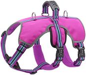 Didog Escape Proof Dogs Harness,Soft Breathable Padded & Reflective,Adjustable No Pull Dog Harness with Lift Handle & Double Leash Clips for Medium Large Dogs Walking Hiking Training,Purple,S