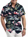 Hawagoos Hawaiian Shirts Men Short Sleeve Button Down Casual Beach Aloha Party Tropical Holiday Shirts (01BK, L)