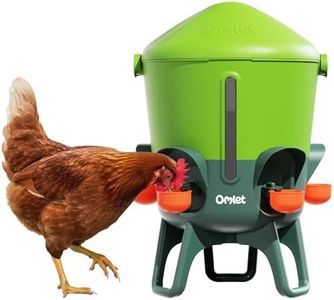 Omlet Insu