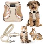 GAMUDA Small Pet Harness Collar and