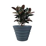 YUCCABE ITALIA Fox B 12 Inch Pots For Plants Highly Durable Polymers Lightweight Indoor Outdoor Plant Pots, Flower Pot Gamla Tree Planter Container Planters For Living Room, Balcony, Garden, Grey