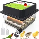 Okköbi OBI-12 For Hatching Chickens, Ducks & Other Birds + Egg Hatchers + 2023 + Automated Egg Rotation + Thermostat Regulation + Humidity Monitoring + Egg Candler + 5-Year Guarantee - Gray