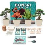 Envy Prime Bonsai Tree Starter Kit 