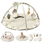 Fortella Baby Play Gym & Activity Playmat, Sensory Mat for Floor w Hanging Toys, Mirror, Support Pillow - Ideal for Newborn Tummy Time, Infant Development, Suitable for 0-3-6-9-12 Months (Sage)