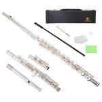 AUROSUS 16Key colour Flute Set Scale C Closed Hole Sky Blue cherry red purple Nickel Plated Beginner (silver plated)