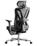 Hbada Ergonomic Office Chair, Desk 