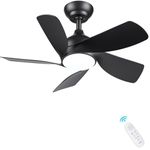 Outdoor Sport Ceiling Fans