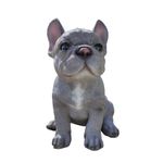 Vivid Arts - Pet Pals Blue French Bulldog Home or Garden Decoration (PP-BFRB-F)